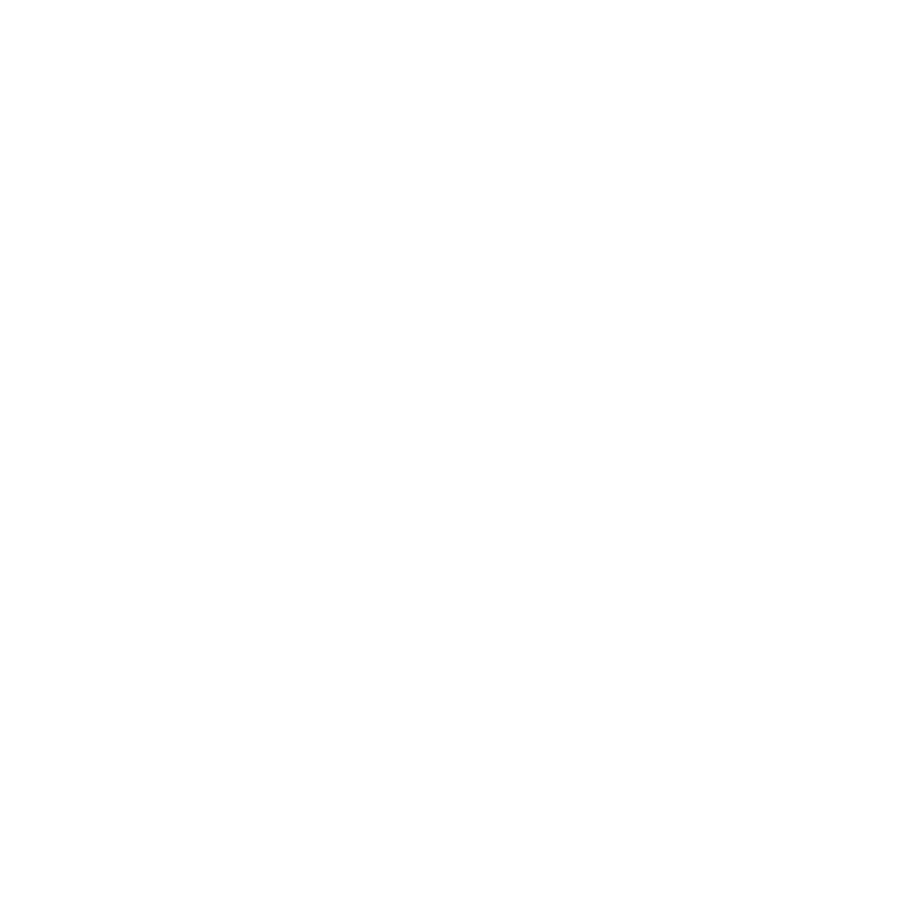 Icons_White_Phone_Webinar